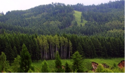 The development of VCS carbon project was completed in June, 2018